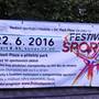 Festival sportu - Plzeň 3