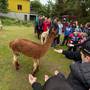 Farma AlpRieser Terešov 7
