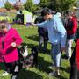 Agility den 2025 8