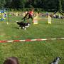 Agility klub Rokycany 4