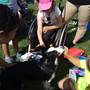Agility klub Rokycany 13